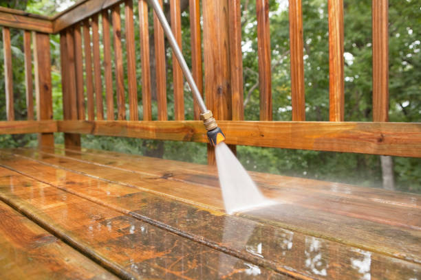 Best Gutter Cleaning  in Coconut Creek, FL
